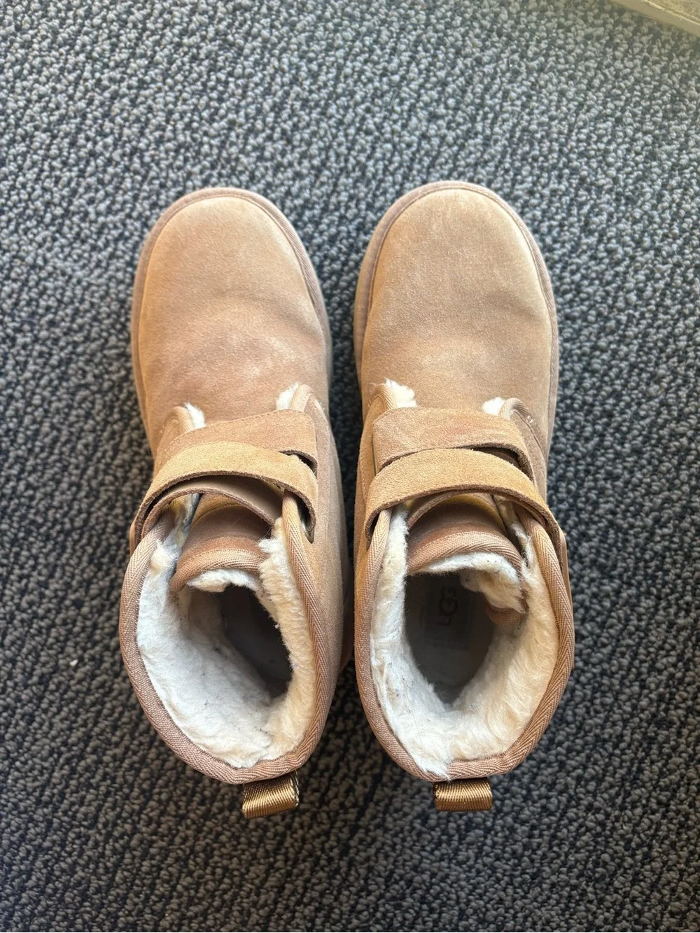 UGG Neumel Platform Boots in Chestnut
